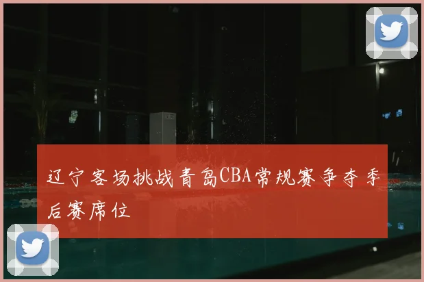 辽宁客场挑战青岛CBA常规赛争夺季后赛席位