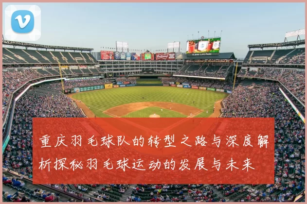 重庆羽毛球队的转型之路与深度解析探秘羽毛球运动的发展与未来