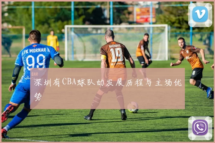 深圳有CBA球队的发展历程与主场优势