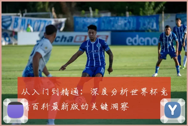 从入门到精通：深度分析世界杯竞猜百科最新版的关键洞察