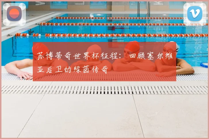 苏博蒂奇世界杯征程：回顾塞尔维亚后卫的绿茵传奇