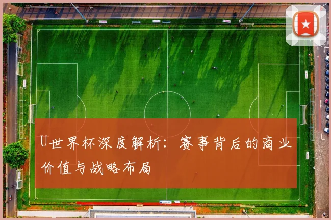 U世界杯深度解析：赛事背后的商业价值与战略布局