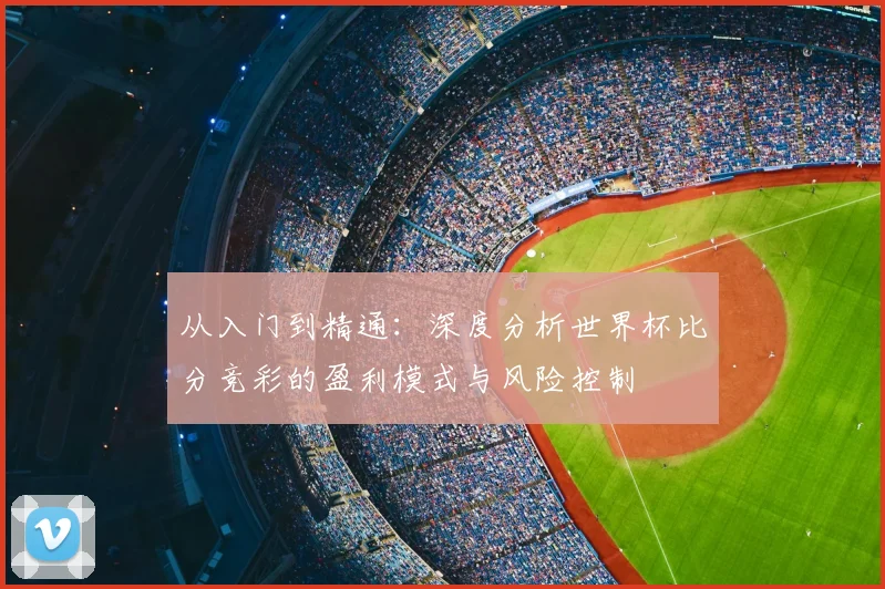 从入门到精通：深度分析世界杯比分竞彩的盈利模式与风险控制