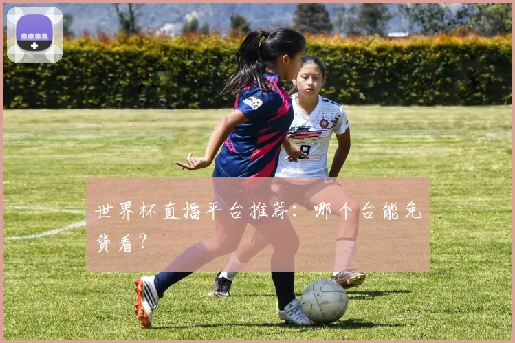 世界杯直播平台推荐：哪个台能免费看？