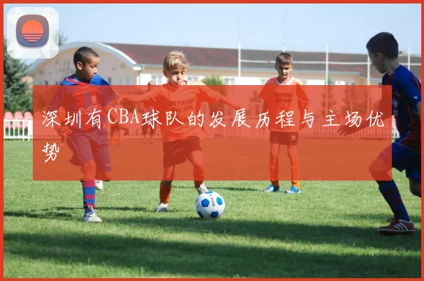 深圳有CBA球队的发展历程与主场优势