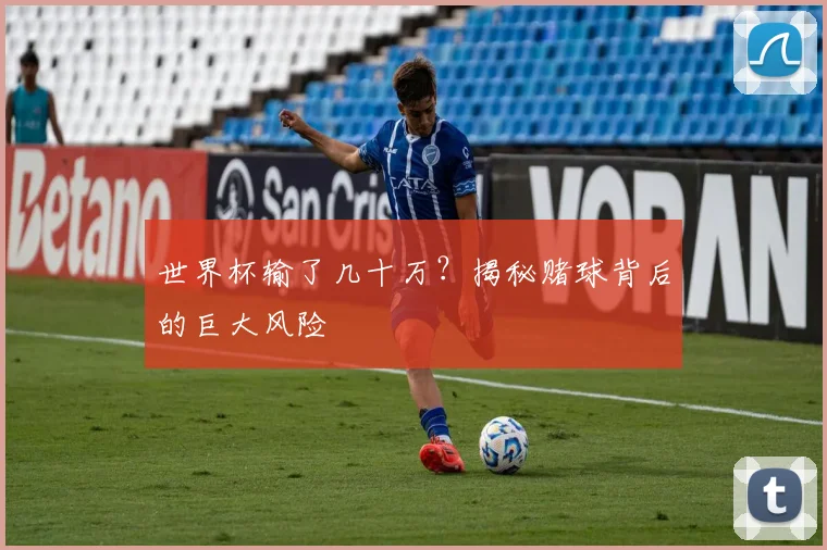 世界杯输了几十万?揭秘赌球背后的巨大风险