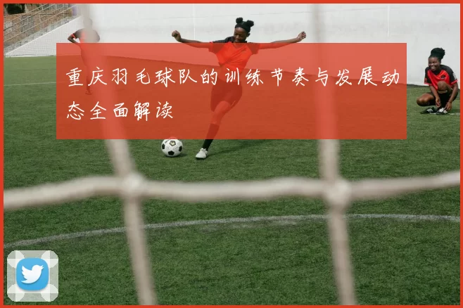 重庆羽毛球队的训练节奏与发展动态全面解读