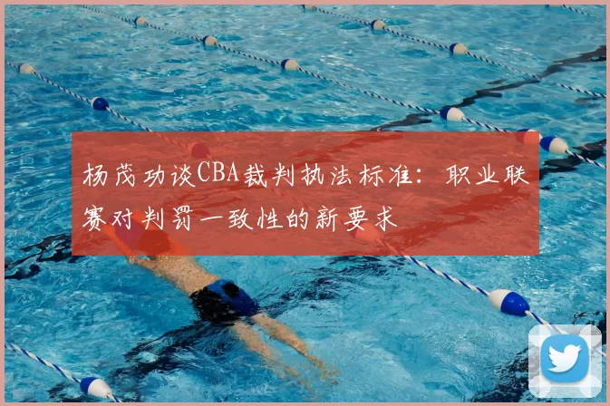 杨茂功谈CBA裁判执法标准：职业联赛对判罚一致性的新要求