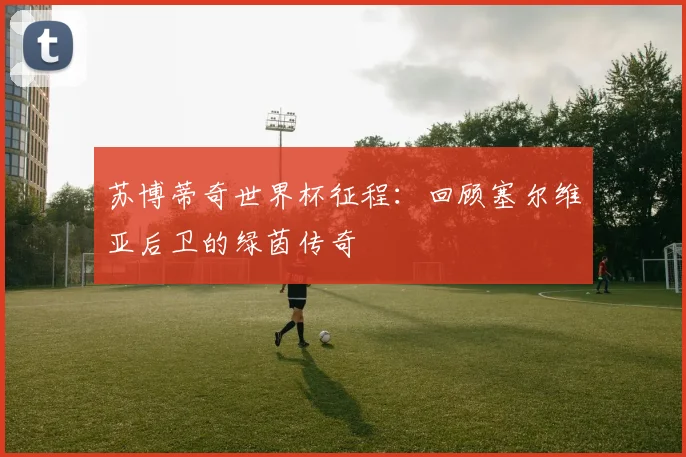 苏博蒂奇世界杯征程:回顾塞尔维亚后卫的绿茵传奇